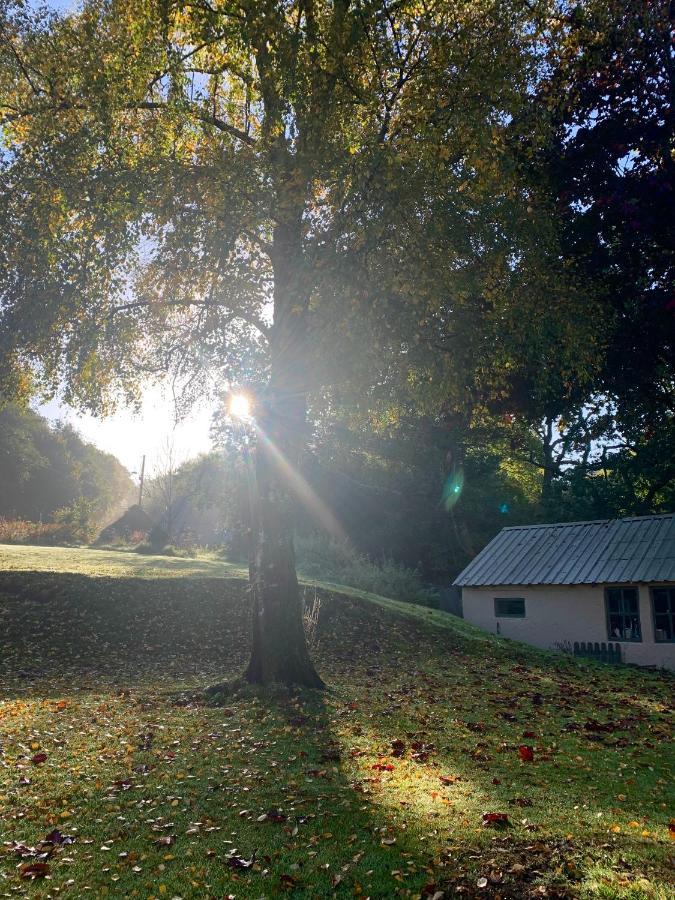 Efail Y Garn Bed & Breakfast Swansea Dış mekan fotoğraf